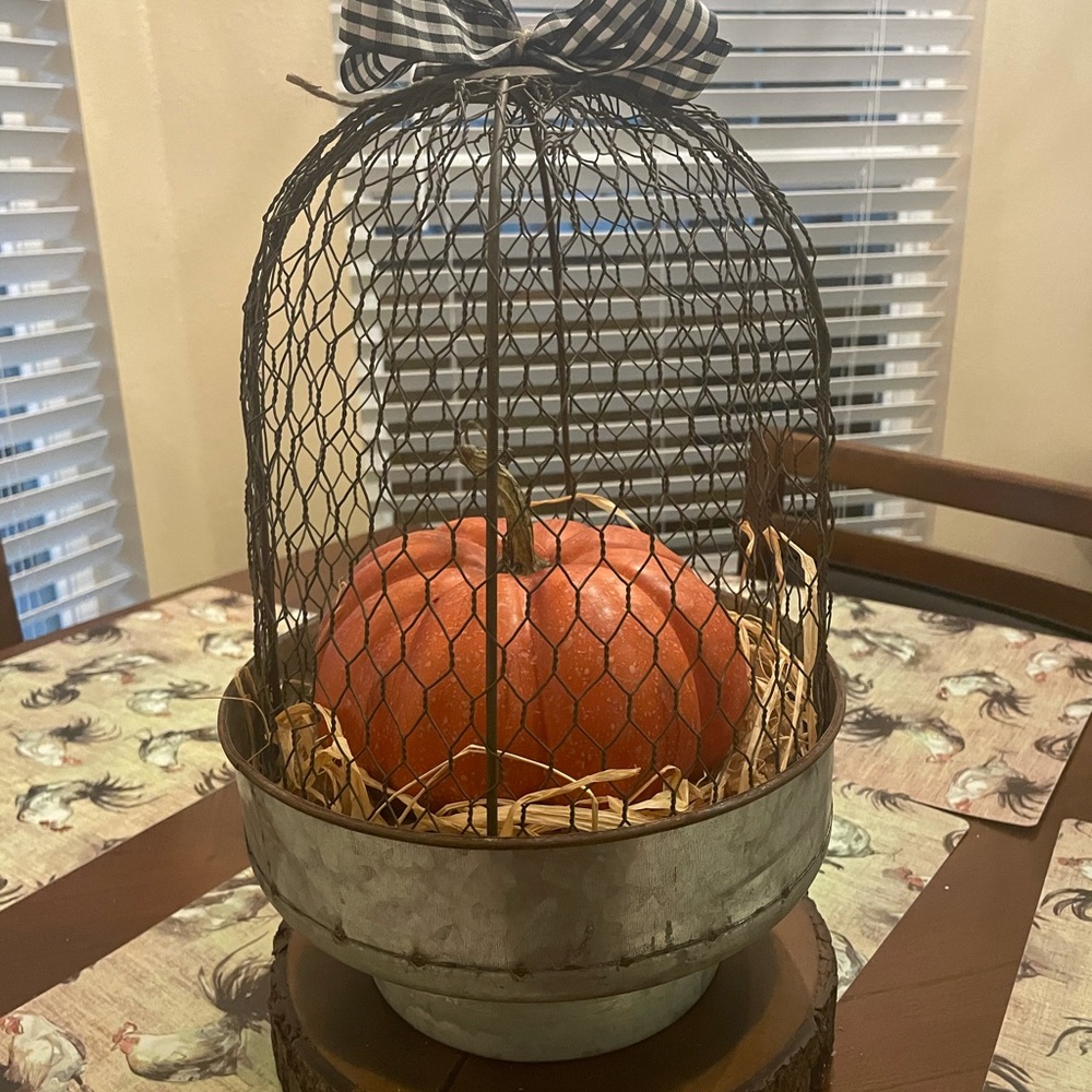 Farmhouse Decor Chicken Wire Cloche Fall